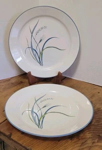 2 Impressions Coastal Breeze 10 1/4" Dinner Plates Corelle Corning BEACH Lake  - Picture 1 of 5