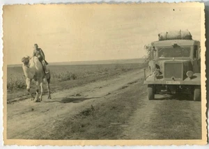 GERMAN WWII ARCHIVE PHOTO: WEHRMACHT SOLDIER ON CAMELBACK & ARMY TRUCK ON A ROAD - Picture 1 of 6