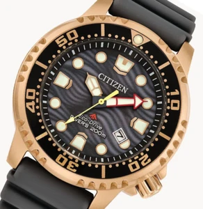 Reloj de buceo Citizen Eco-Drive Promaster esfera gris tono oro rosa BN0163-00H - Imagen 1 de 4