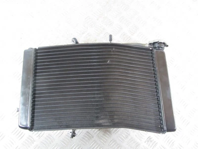 2010-2014 TRIUMPH TIGER 800 Radiator (see listing) — 第 1/4 张图片