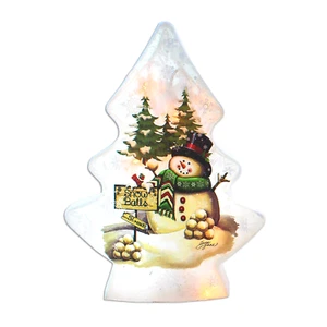 Stony Creek dekorativer beleuchteter Glas-Schneemann verkauft Schneekugeln 9 Zoll Baum GLS63A - Bild 1 von 12