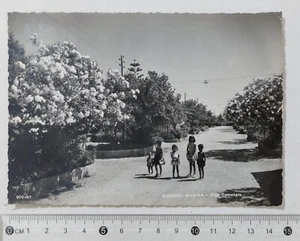 I123393 Cartolina - Reggio Calabria - Siderno Marina - Villa Comunale - VG 1960 - Foto 1 di 2