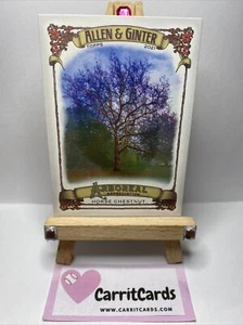 HORSE CHESTNUT 2021 Allen & Ginter Arboreal Appreciation #AA-6 - Picture 1 of 6