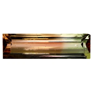 1.55 ct Octagon (13.92 x 3.99 mm) Unheated Mozambique Bi-Color Tourmaline - Picture 1 of 2