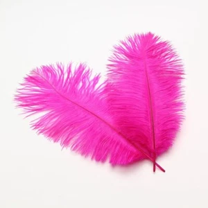10PCS 14-16" Fuchsia Ostrich Feathers Wedding Centerpiece & Home Decor - Picture 1 of 1