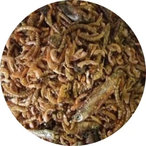 Reptilienmix aus 6 Sorten Trockenfutter Reptilienfutter Schildkrötenfutter 10 l - Bild 1 von 2
