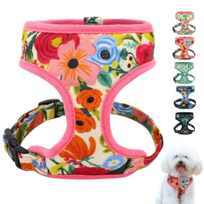 Cute Floral Dog Harness Soft Mesh Walking Vest for Small Medium Dogs Pink Blue - Image 1 of 4