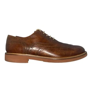 Zapatos To Boot New York Adam Derrick Para Hombres Cuero Marrón Punta de Ala Brogue Talla 10.5 - Imagen 1 de 5
