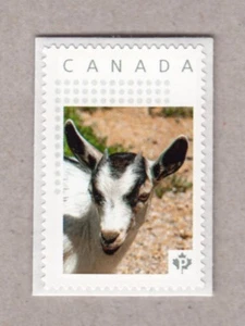 CAPRA = Francobollo fotografico MNH Canada 2017 p17-01s3 - Foto 1 di 2