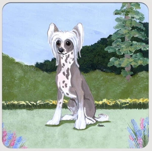 Chinese Crested Coasters - Set of 4 - Picture 1 of 1