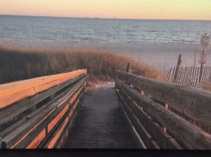 “Welcome To The Evening Show” Lienzo 18x24 Firmado Impresión Limitada Por Karen Stemmle - Imagen 1 de 4