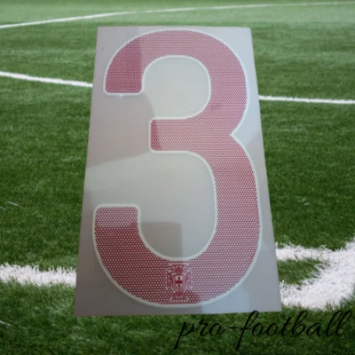 FLOCAGE OFFICIEL SPORTING ID / OFFICIAL NUMBER PORTUGAL HOME PEPE EURO 2012 - Photo 1/3