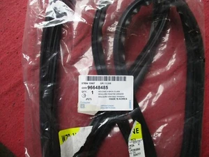 NOS GM  07-11 Chevrolet Aveo Rear Window Reveal Molding Weather strip 96648485 - Picture 1 of 1