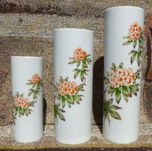 FINE BAVARIAN PORCELAIN RHODODENDRON VASES LIMITED EDITION W FRANKLIN MINT COA - Picture 1 of 13