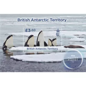 FR6661 - 2023 Britisches Antarktis-Territorium Frozen Planet II der BBC - Blätter - Bild 1 von 1