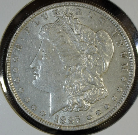 1887 MORGAN DOLLAR (725) Cover