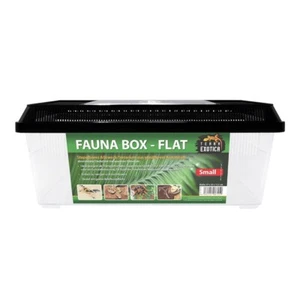 Terra Exotica Fauna Box Flat - small 37 x 22 x 15,2 cm, Transportbox, Faunabox - Bild 1 von 6