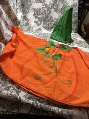 Наряд тыквы ручной работы с плащом и шляпой из лозы. Это винтажный и очаровательный - Изображение 1 из 3