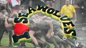 Seattle Seawolves Rugby Fútbol Deportes Peluche Herrington Osos de Peluche - Imagen 1 de 5