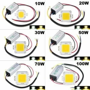 LED Driver + COB Chip 100W 50W 30W 20W 10W Power Supply Transformer Bulb Lights - Picture 1 of 30
