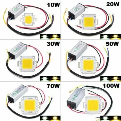 LED Driver + COB Chip 100W 50W 30W 20W 10W Power Supply Transformer Bulb Lights - Image 1 of 4