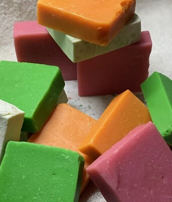 Shampoo & Conditioner Kombucha Bar - Image 1 of 4