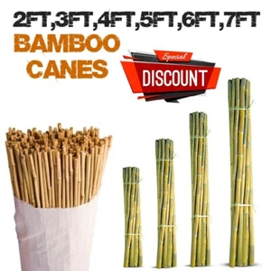 Bastones de bambú soporte para plantas multi tamaño (6-12 mm) lazos para plantas jardín patio soporte - Imagen 1 de 8