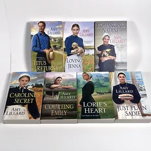 Lot of 7 Amy Dillard Wells Landing Amish Romance Paperback Books - Foto 1 di 13