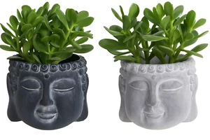 Buddha Head Plant Pot Indoor Home Garden Decor Flower Succulent Cactus Planter - Picture 1 of 11