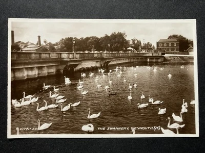 The Swannery Weymouth Dorset Real Photo Vintage Postcard A30 - Image 1 of 2