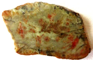 Coprolite - Thick Slab - Dinosaur Poo - Dino Dung - Utah - 190 grams - Picture 1 of 2