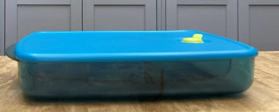 Tupperware Vent 'N Serve Contenedor Grande Poco Profundo Dividido-NUEVO-ENVÍO INCLUIDO Foto 1 de 2
