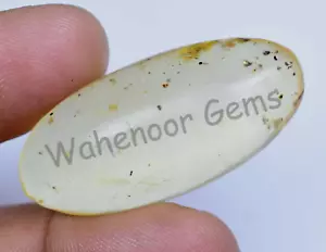 Piedra preciosa suelta certificada con inclusión de insectos ámbar amarillo 100 % natural de 16,95 quilates - Imagen 1 de 6