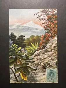 Spain Postcard Cover Mountain Plants Flowers Landscape No Address - Picture 1 of 2