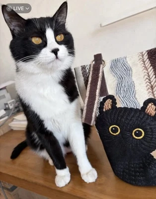 Bolso de mano para gato con una pequeña bolsa Foto 1 de 4