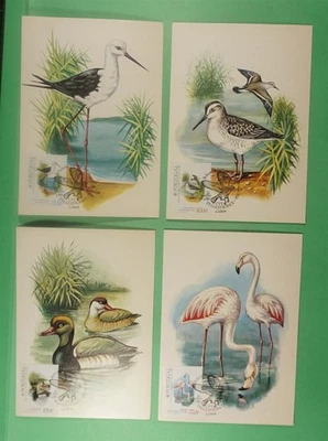 DR WHO 1982 PORTUGAL 4 FDC BIRD MAXIMUM CARD $33.50 R14121 - Image 1 of 2