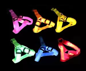 RECHARGEABLE HARNESS LED Light GLOW Dog Pet Safety Strap Belt Collar MICRO USB - Picture 1 of 18