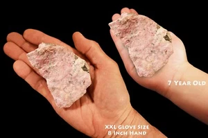 Rhodonit 3 1/2" 13-16 Oz A Klasse Rohgestein Mineral Probe Herz Chakra Heilung - Bild 1 von 3