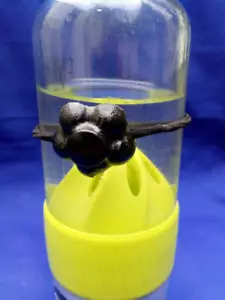 SHUNGITE Water Purification Toggles, Creates Healing, Delicious Softer water. - Picture 1 of 16