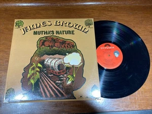 James Brown And The New J.B.'s – Mutha's Nature - VG+ - Picture 1 of 1