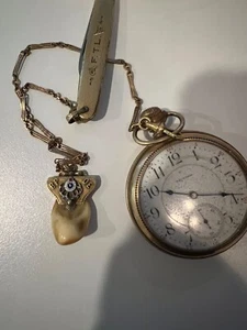 1901 Waltham USA gold watch, chain, pen knife, elk tooth fob BPOE - Picture 1 of 11