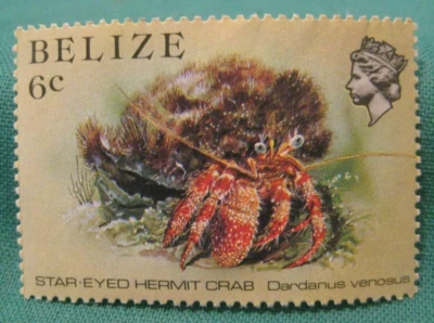 Cangrejo ermitaño Belice 1984-6c ojos estelares-MNH único-#704 Foto 1 de 2