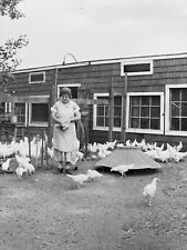 Vintage Photo Woman Feeding Chickens Coup House Chicken Feeder Farm Rural