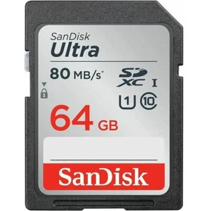 SanDisk Ultra Lite SDXC 100MB/s Class 10 UHS-I - 64GB SDSDUNR-064G-GN3IN - Picture 1 of 3