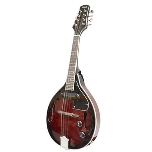 M50E Acoustic-Electric Bluegrass Mandolin with Nato Top - Redburst - Picture 1 of 7