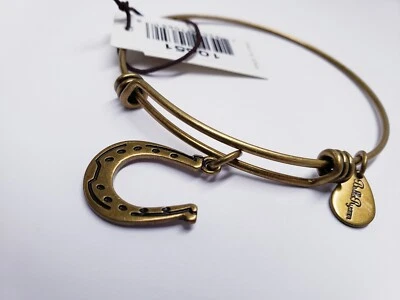 Brazalete Bella Ryann Herradura Expandible Dije Pulsera 7" a 9" 20MM  Foto 1 de 4