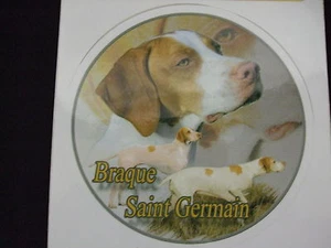 1 autocollant - motif chien BRAQUE SAINT-GERMAIN - Picture 1 of 1