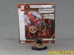 30mm Privateer Press Hordes WDS painted Skorne Warlock Beast Master Xekaar d80 - Picture 1 of 6