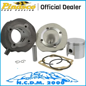 CILINDRO MODIFICA GHISA PINASCO APE 50 - VESPA 50 PK XL GRUPPO TERMICO 102 - Imagen 1 de 1