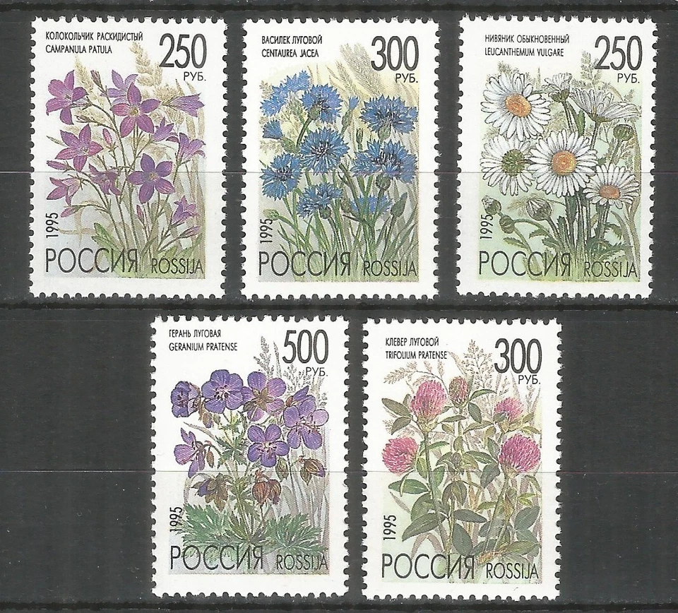 Russia 1995 stamps mint MNH - flowers - Image 1 of 1